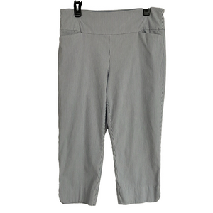 Women’s Light Blue Pinstripe Tummy Control Capri Pants by S.C. & Co. Size 14